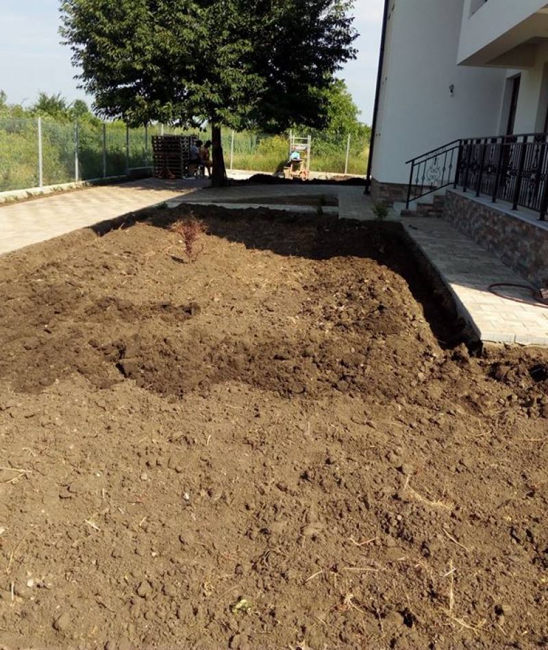 Inainte si dupa - amenajare gradina